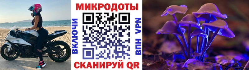 Псилоцибиновые грибы Psilocybe наркота Сорочинск