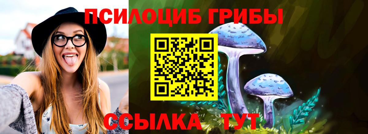 Псилоцибиновые грибы Cubensis  Псилоцибиновые грибы Psilocybine cubensis  Сорочинск  Вход с VPN 